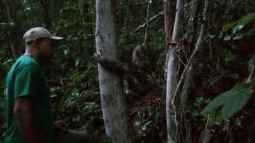 Domingos Oliveira / Gads