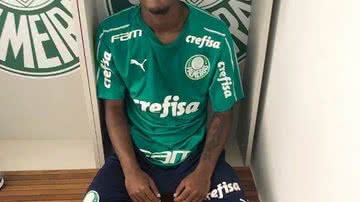 Divulgação