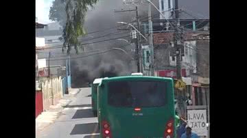 Reprodução