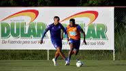 Felipe Oliveira / EC Bahia