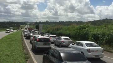Reprodução