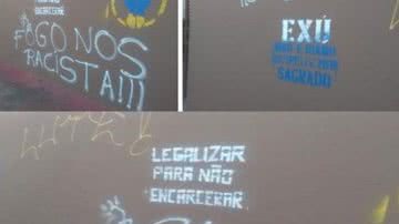 Divulgação