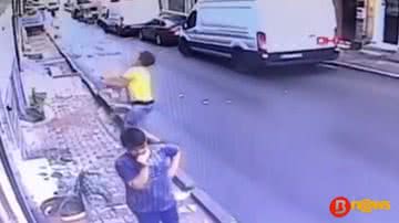 reprodução