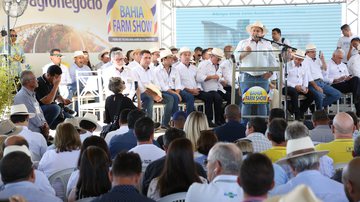 Imagem Plantio do algodão aumenta e movimenta R$ 4,5 bilhões na Bahia