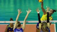 Divulgação / FIVB