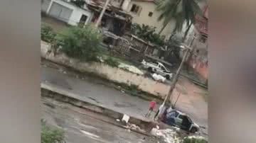 Reprodução
