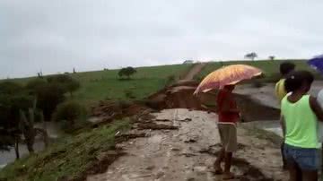 Reprodução