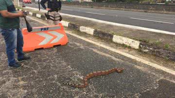 Divulgação/PRF