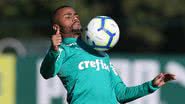 Cesar Greco (Ag. Palmeiras)