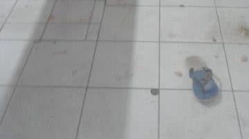 Reprodução/Leitor BNews