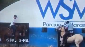 Reprodução