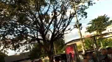 Reprodução / Leitor BNews
