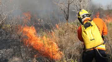 Fabio Rodrigues Pozzebom/Agência Brasil