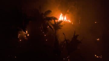 André Cran/Folhapress