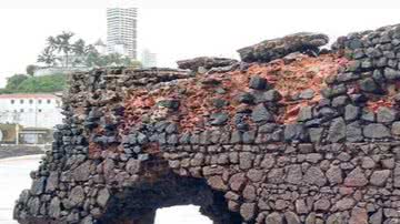 Reprodução/ Instagram/Fundo da Folia