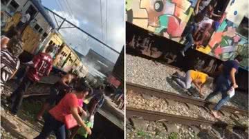 Reprodução