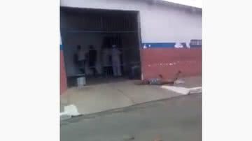 Reprodução