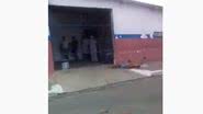 Reprodução