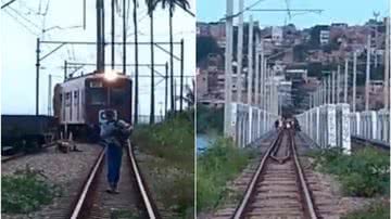 Reprodução
