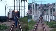 Reprodução