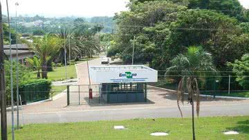 Embrapa/Divulgação
