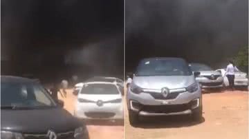 Reprodução