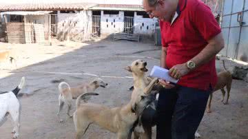 Divulgação