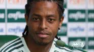 Reprodução / Palmeiras