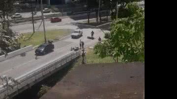 Reprodução