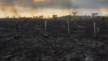 Lalo de Almeida/Folhapress