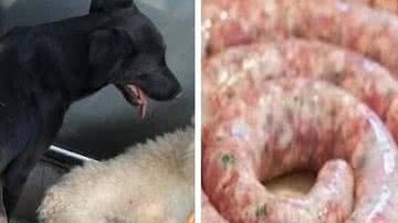 Divulgação/Polícia Civil