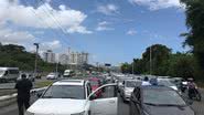 Divulgação