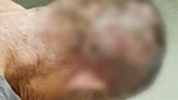 Reprodução/Metrópoles