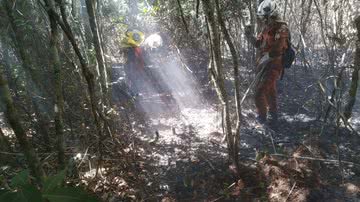 Divulgação/Corpo de Bombeiros