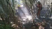 Divulgação/Corpo de Bombeiros