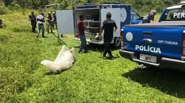 Reprodução / Franklin Deluzio