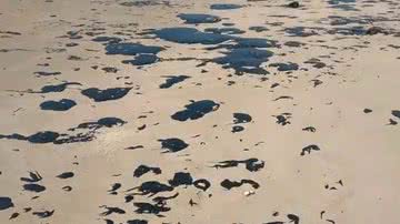 Divulgação/ João Arthur/ Tamar