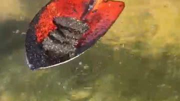 Reprodução/YouTube