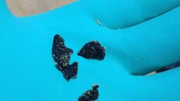 Divulgação / Marinha do Brasil / CP