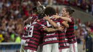 Divulgação/Alexandre Vidal/Flamengo