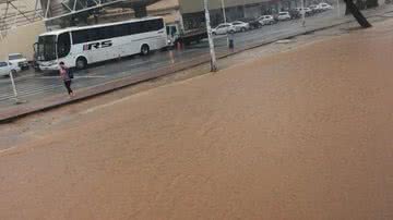 Leitor BNews