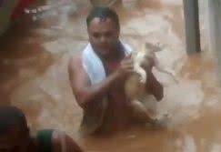 Reprodução/YouTube