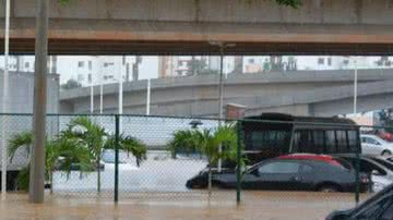Arquivo BNews