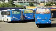 Reprodução / Ônibus Brasil