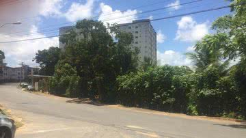 Reprodução/Arquivo Pessoal