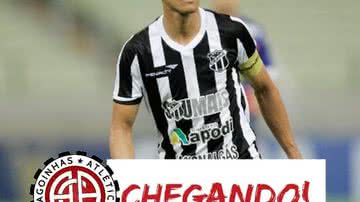 Divulgação