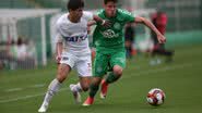 Divulgação/ Sirli Freitas/Chapecoense