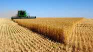 Reprodução/Brasil Agro