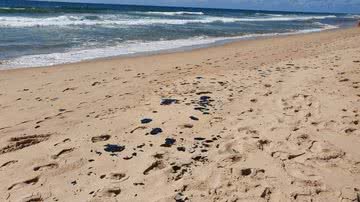 Divulgação / Prefeitura de Lauro de Freitas