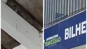 Reprodução / Leitor BNews